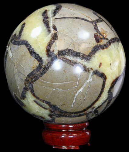 Polished Septarian Sphere - With Stand #43861